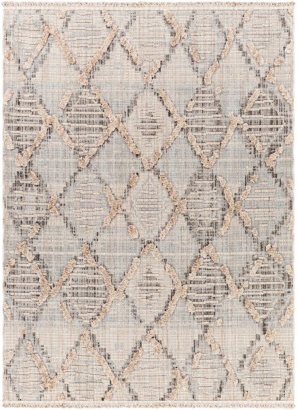 Surya Zaragoza Global ZRZ-2311 Rug ZRZ2311-9212