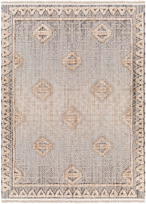 Surya Zaragoza Global ZRZ-2318 Rug ZRZ2318-9212