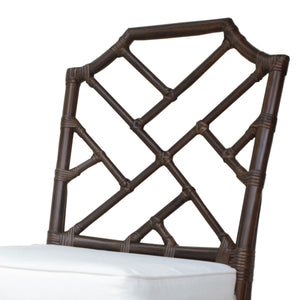 Kara Rattan Chair - Set of 2 Paloma Brown